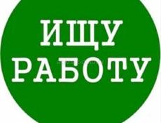 Ищу работу.