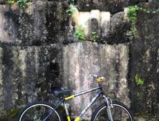 Dazon