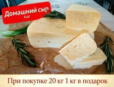Продаю Сыр на айфон сулугуни 800 р