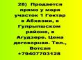 Участок в Агудзере у моря 1 гектар