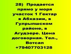 Участок в Агудзере у моря 1 гектар