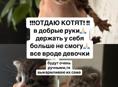 ОТДАЮ КОТЯТ!!СРОЧНО🙏🏻