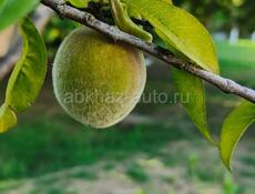 Комнаты