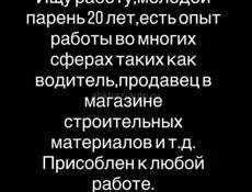 Ищу работу срочно 