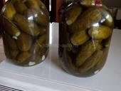 Огурцы 