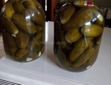 Огурцы 