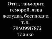 Лечение травами отит, гаиморит,геморой,язва желудка, бесплодие  и т д 