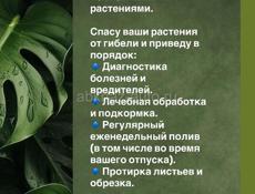 Цветовод