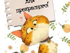 Ищу работу в Сухуме, рассмотрю разные варианты. 