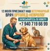 📢 Приём ветеринарного ортопеда-невролога в нашей клинике