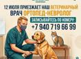 📢 Приём ветеринарного ортопеда-невролога в нашей клинике
