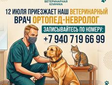📢 Приём ветеринарного ортопеда-невролога в нашей клинике