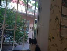 2 МАЛЬЧИКА КОТЁНКА