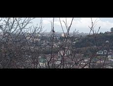 Лучший вариант и место  для дома .