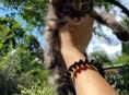 срочно в добрые руки