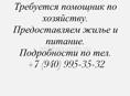Помощник по хозяйству