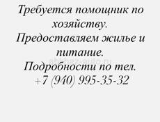Помощник по хозяйству