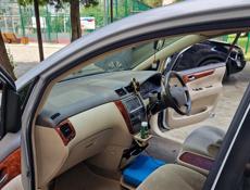 Toyota Ipsum