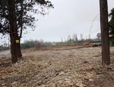 Срочно Цандрипш