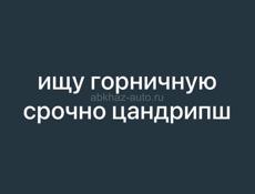 цандрипш ищу горничную срочно 