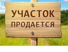 10 сотек