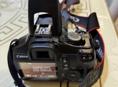 Cenon d600
