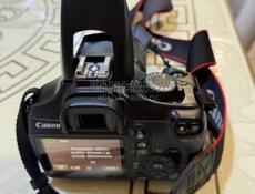 Cenon d600
