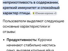 Цыплята