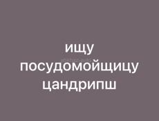 ищу посудомойщицу цандрипш в столовую 