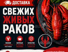 🦞 ЖИВЫЕ РАКИ 🦞 