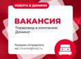 вакансия в Домино -  менеджер - Оператор-товаровед  в компанию 