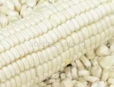 Продаётся кукуруза белое 