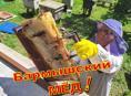 Сотрудники в Дом МЁДа