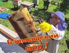 Сотрудники в Дом МЁДа