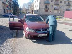 Nissan Bluebird