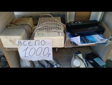 1000 мелочей
