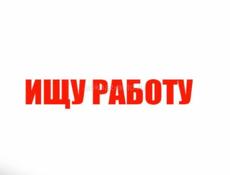 Ищу работу 