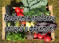 Требуется продавец 