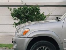 Toyota Sequoia