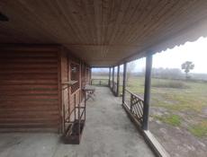 50 соток с готовой пацхой