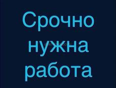 Ищу работу 