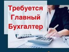 Главный бухгалтер