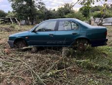 Nissan Primera