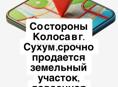 Срочно ‼️ 
