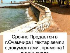 Срочно ‼️ 