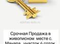 Срочно ‼️ 