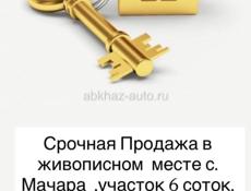 Срочно ‼️ 