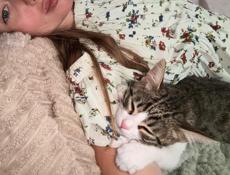 Котенок мальчик в добрые руки 