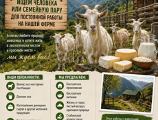 Козья ферма