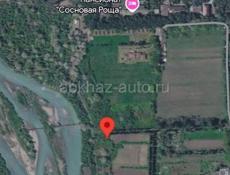 Цитрусовый сов 24 сотки. 